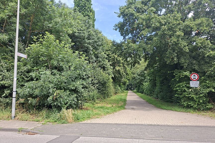 Hamscherhof: Ein Weg mit Radverkehrspotenzial Hamscherhof: Ein Weg mit Radverkehrspotenzial